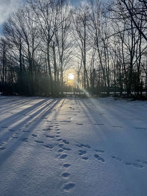 Poconos 2026 - 55 of 108 Medium